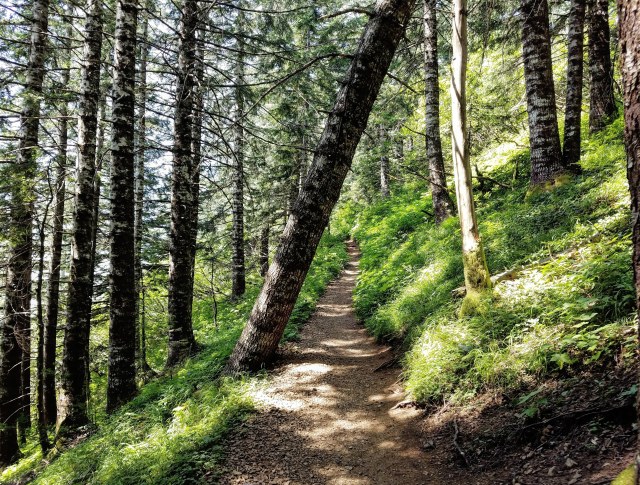 IMG_20180729_214505_181