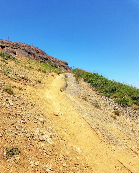 IMG_20180729_220642_694