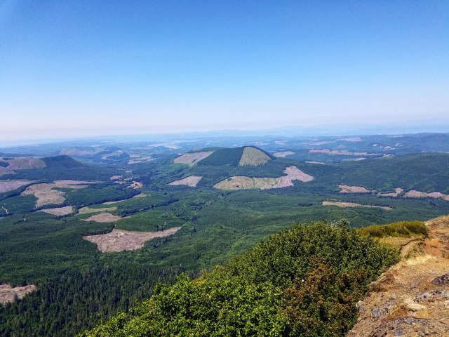 IMG_20180729_234145_376