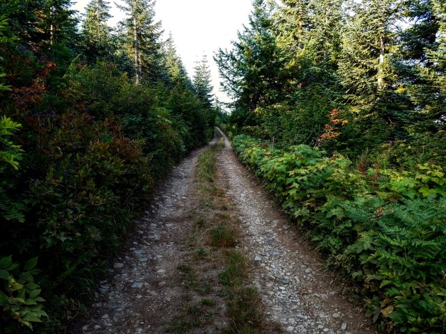 IMG_20180819_203503_389