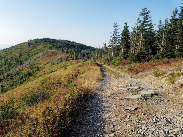 IMG_20180819_203625_104