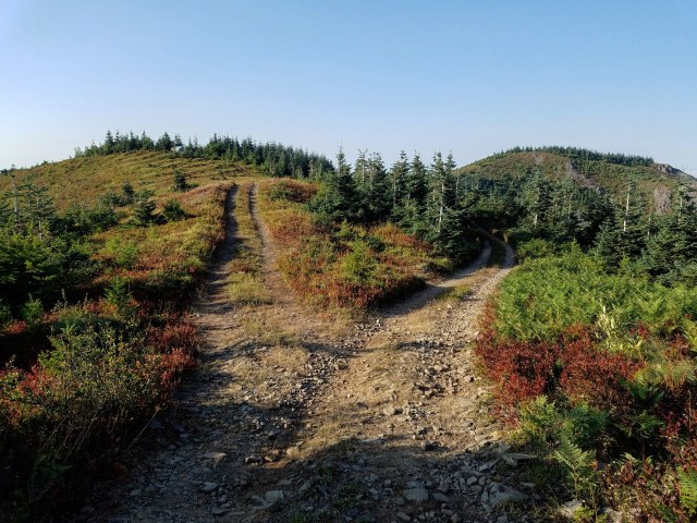 IMG_20180819_215549_178