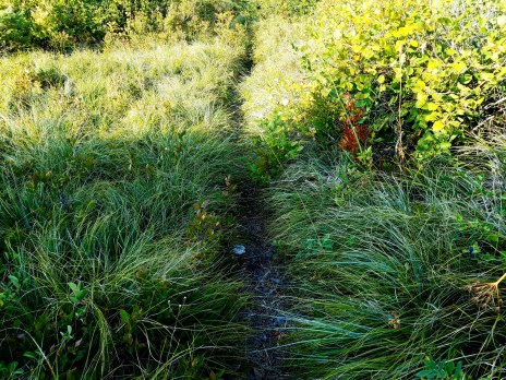 IMG_20180820_071416_449