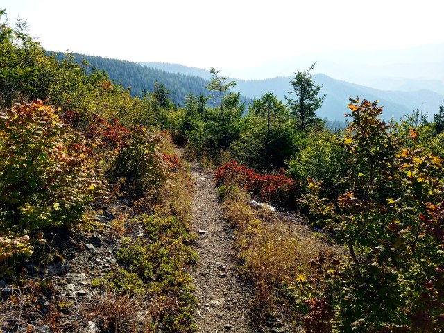 IMG_20180820_071833_410