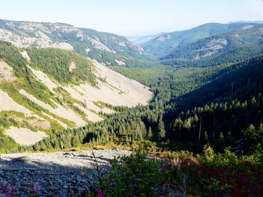 IMG_20180820_074635_792