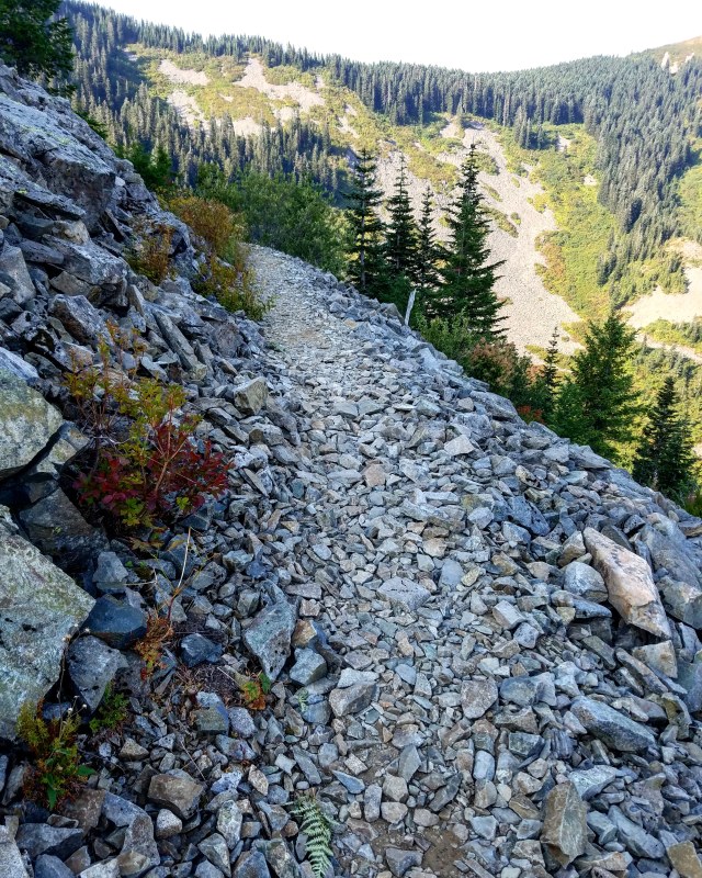 IMG_20180820_074843_554