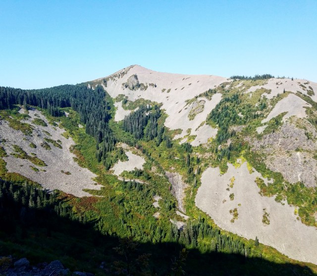 IMG_20180820_075048_743