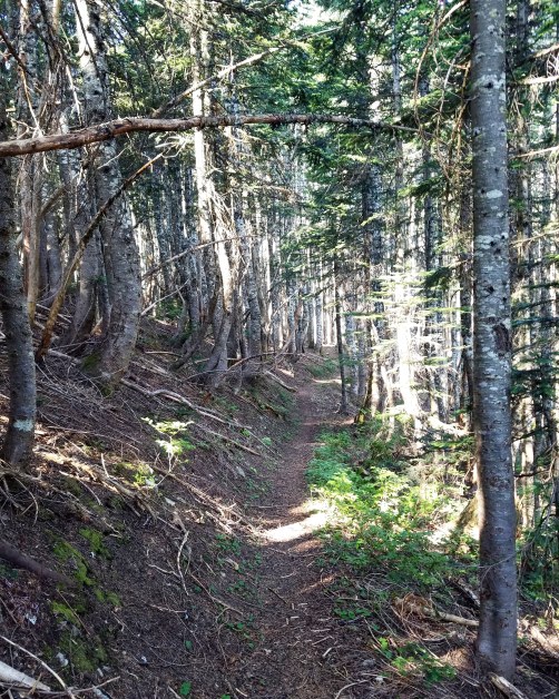 IMG_20180820_095507_849