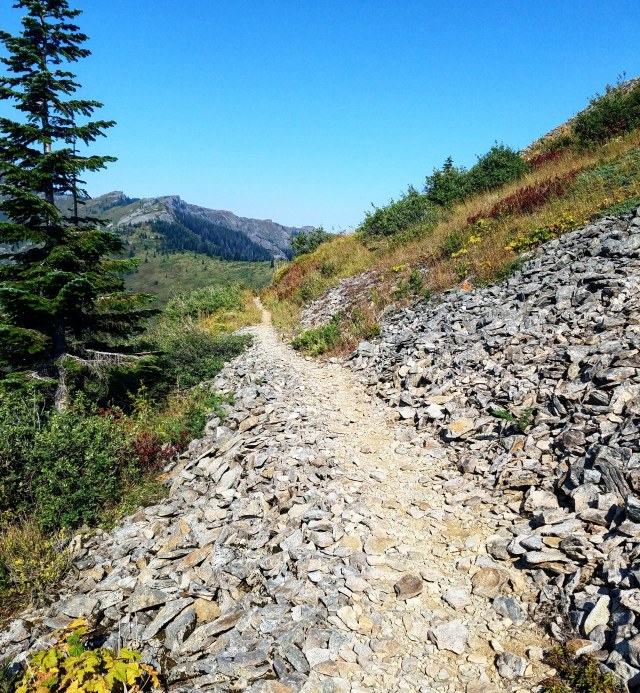 IMG_20180820_100010_458