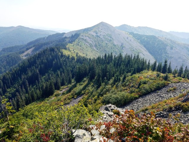 IMG_20180820_121534_610