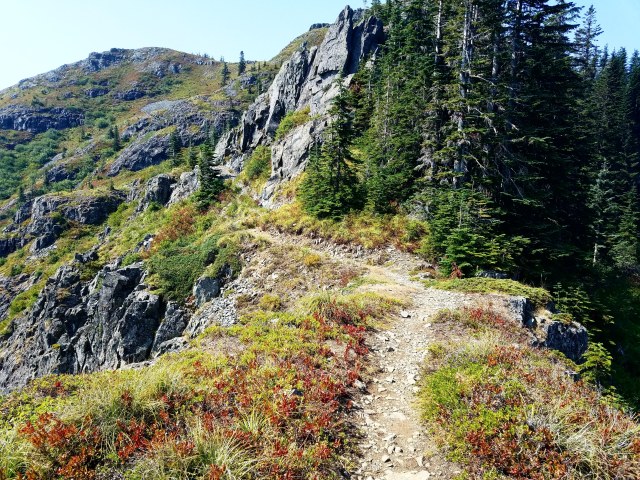 IMG_20180820_122341_841