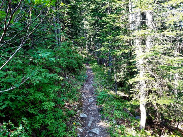 IMG_20180820_135808_348