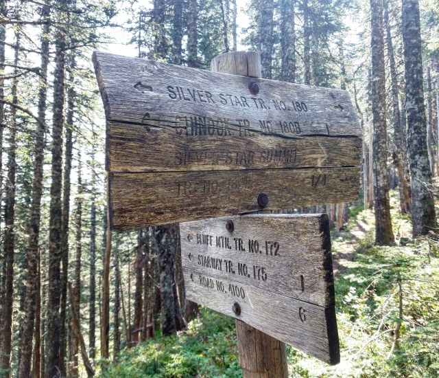 IMG_20180820_135907_863