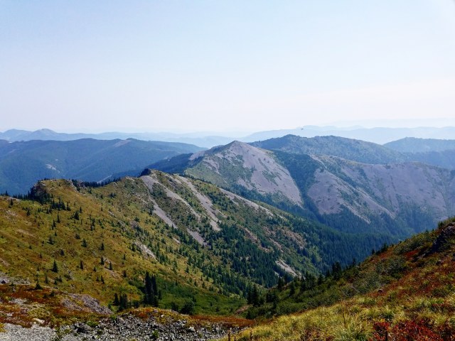 IMG_20180820_140243_486