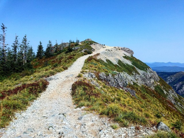 IMG_20180820_142138_372