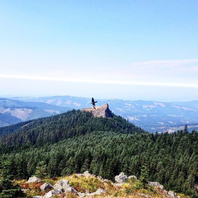 IMG_20180820_143551_862