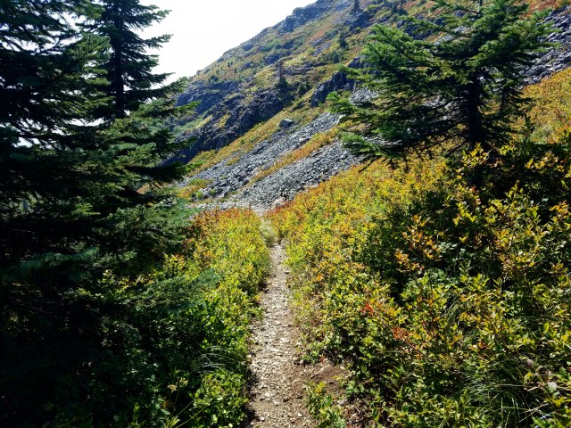 IMG_20180820_154430_037