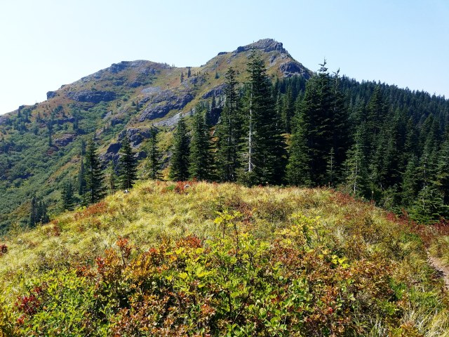 IMG_20180820_162003_941