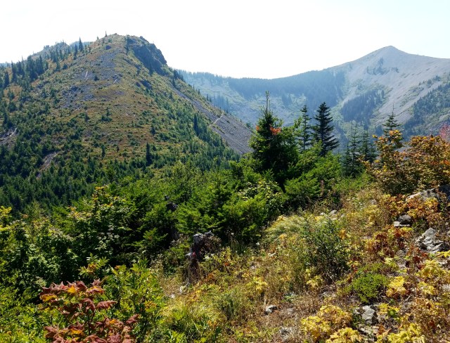 IMG_20180820_184400_389