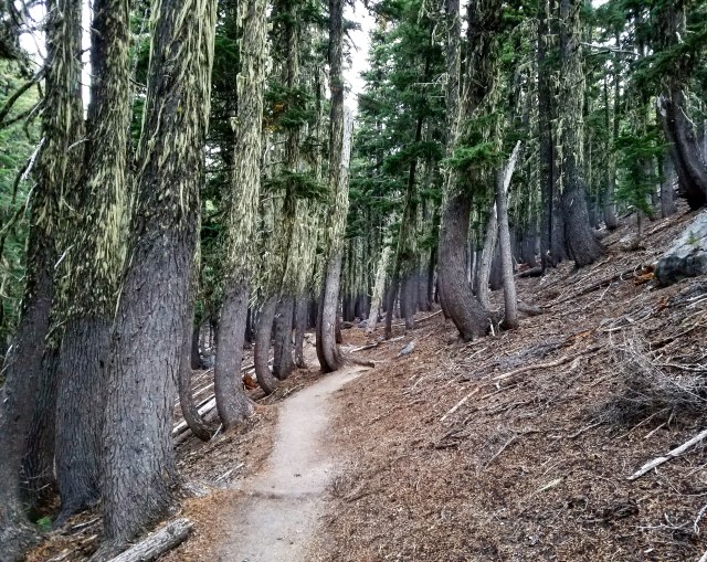 IMG_20180831_224218_966