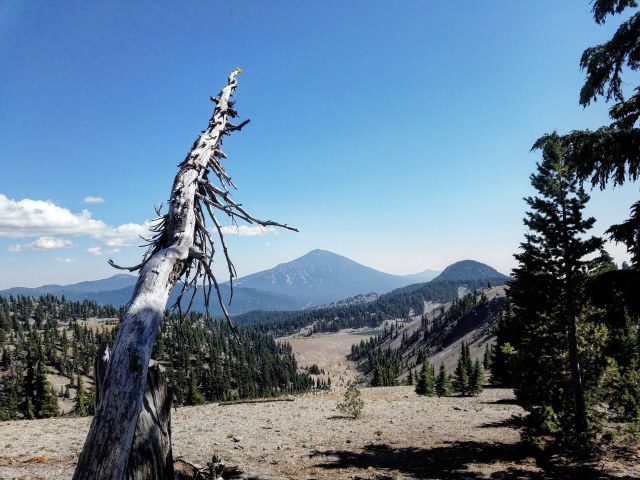 IMG_20180901_152142_268