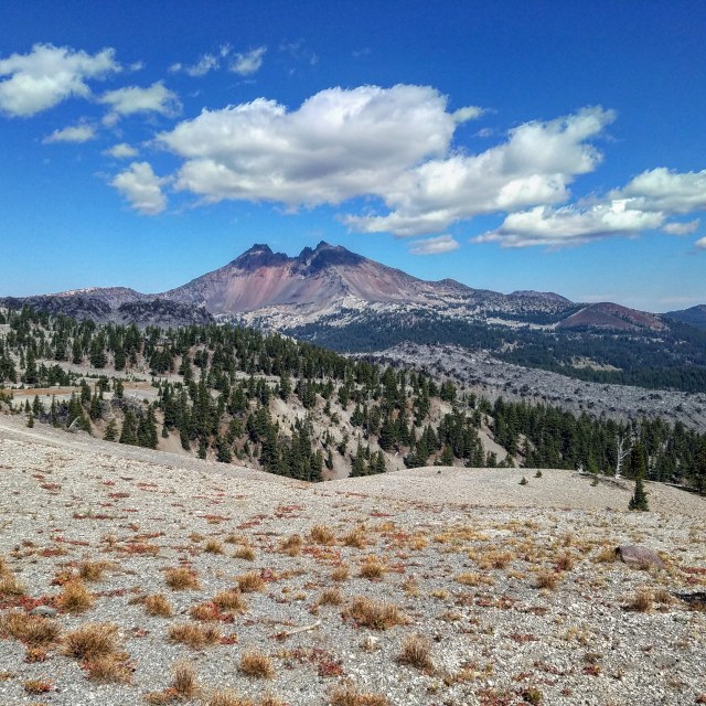 IMG_20180901_152920_802