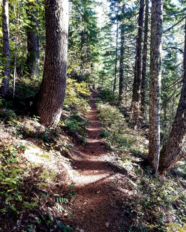 IMG_20181013_164020_970