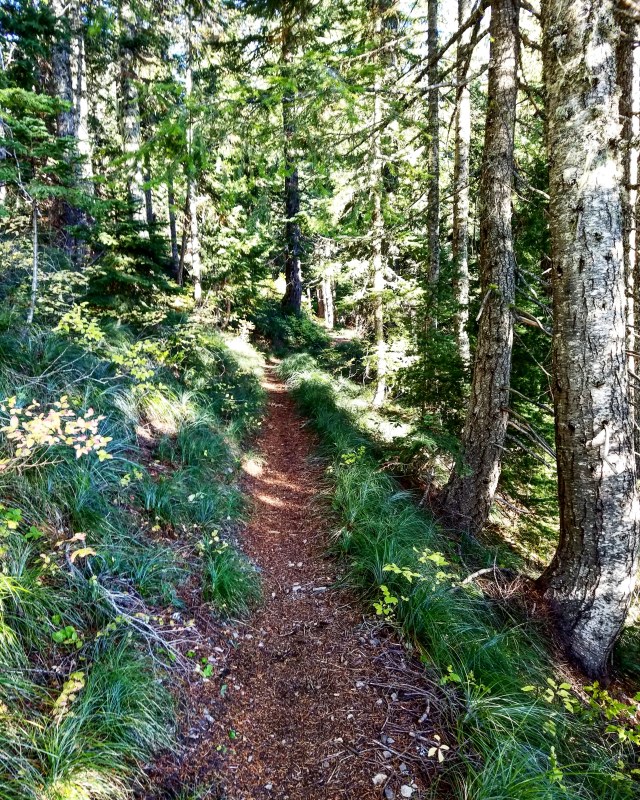 IMG_20181013_182306_955