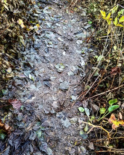 IMG_20181013_183658_871