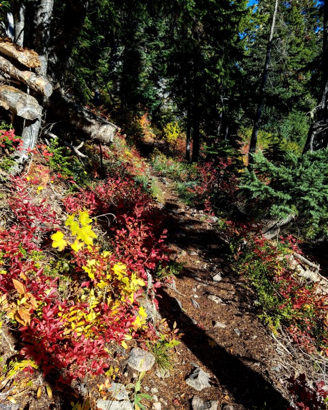 IMG_20181013_185023_747