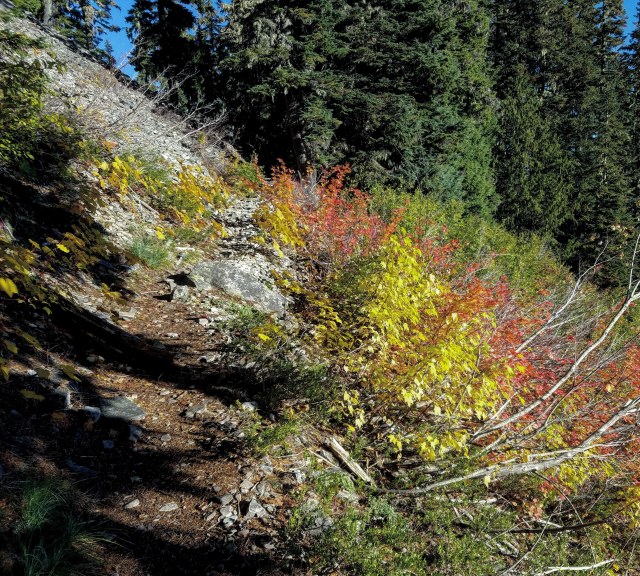 IMG_20181013_185330_061