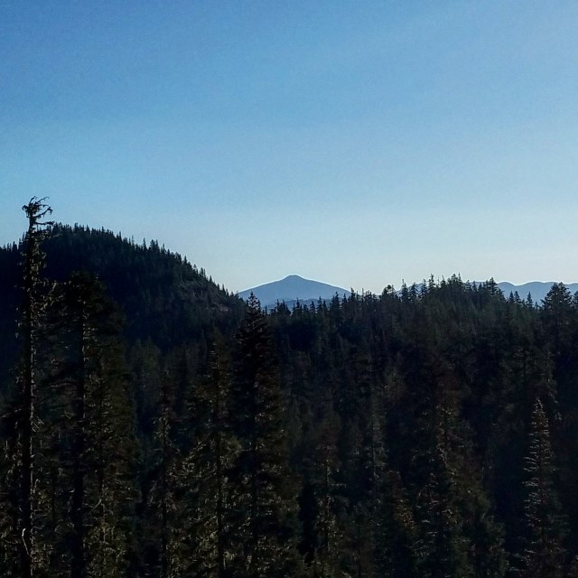 IMG_20181013_185656_835