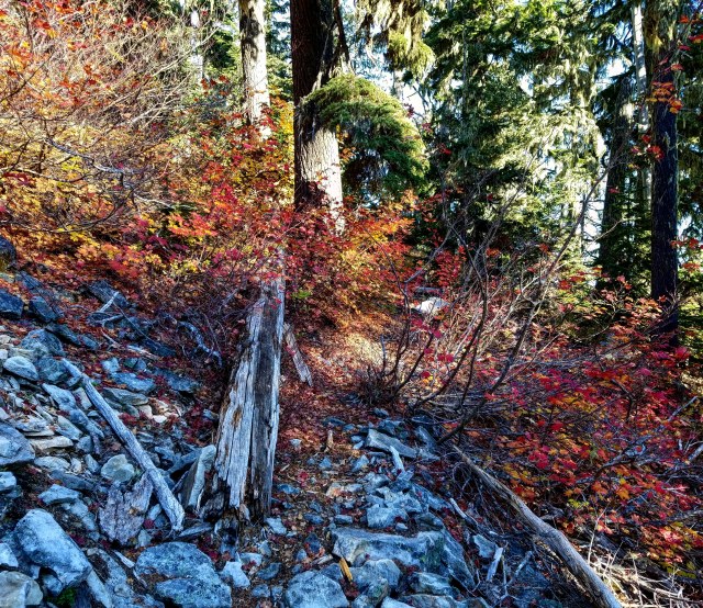 IMG_20181013_185846_451