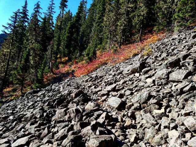 IMG_20181013_194548_358