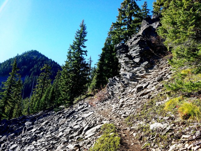 IMG_20181013_195607_859