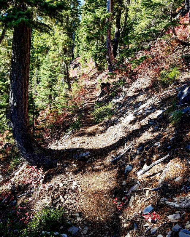 IMG_20181013_195721_632