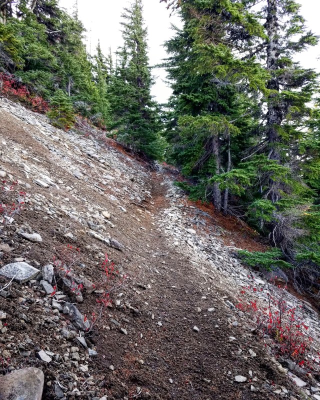 IMG_20181013_200313_126