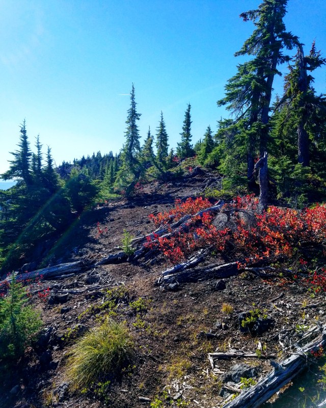 IMG_20181013_200647_420