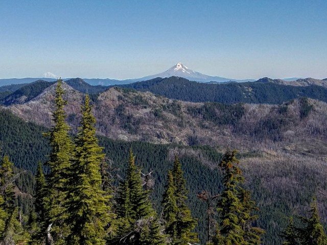 IMG_20181013_201304_404