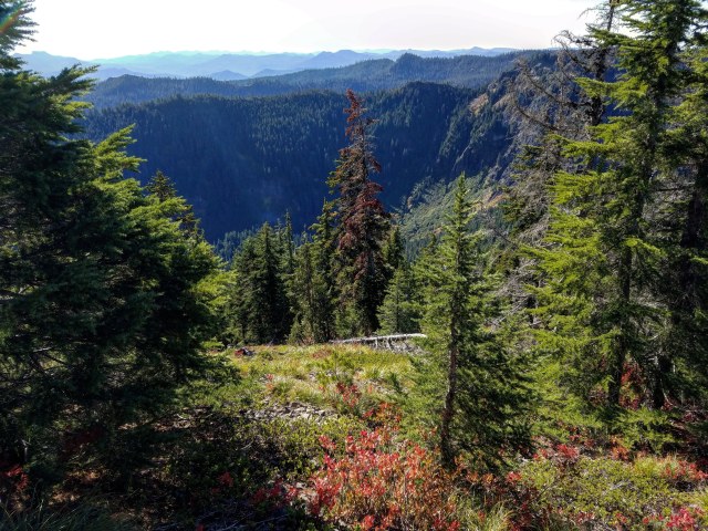 IMG_20181013_222650_836