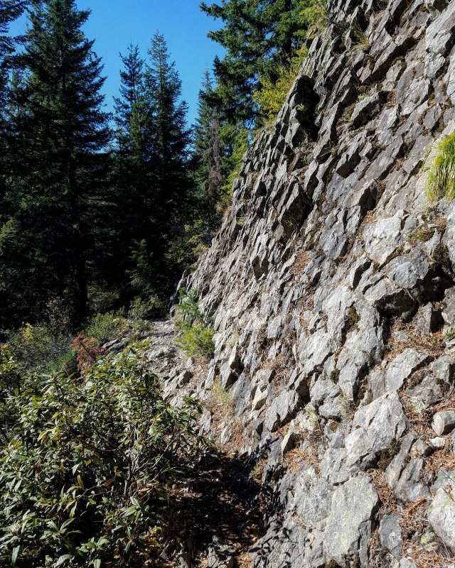 IMG_20181013_233311_900