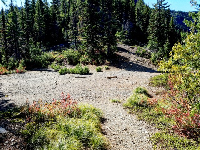 IMG_20181013_233459_097