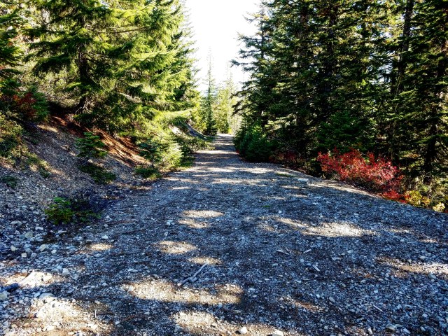 IMG_20181013_233610_537