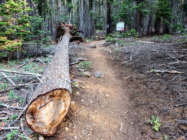 IMG_20190719_234346_864