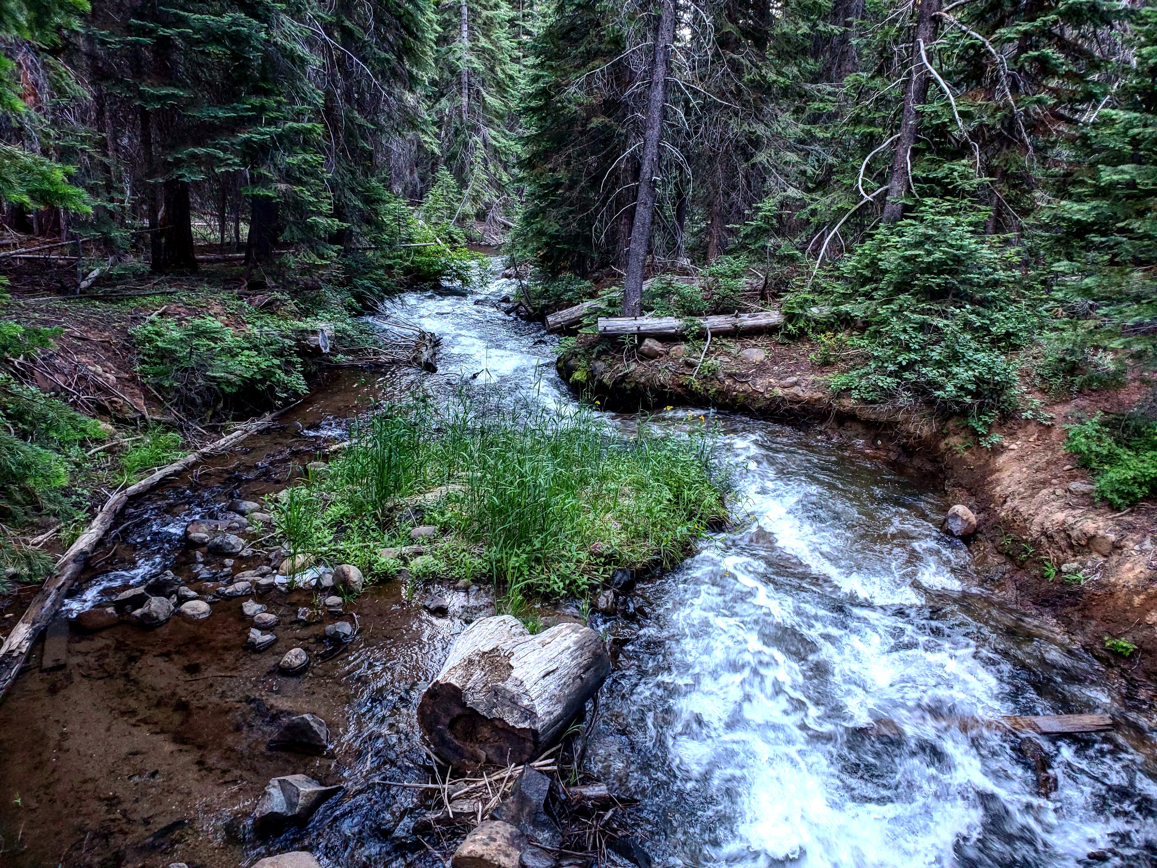 IMG_20190719_235102_494