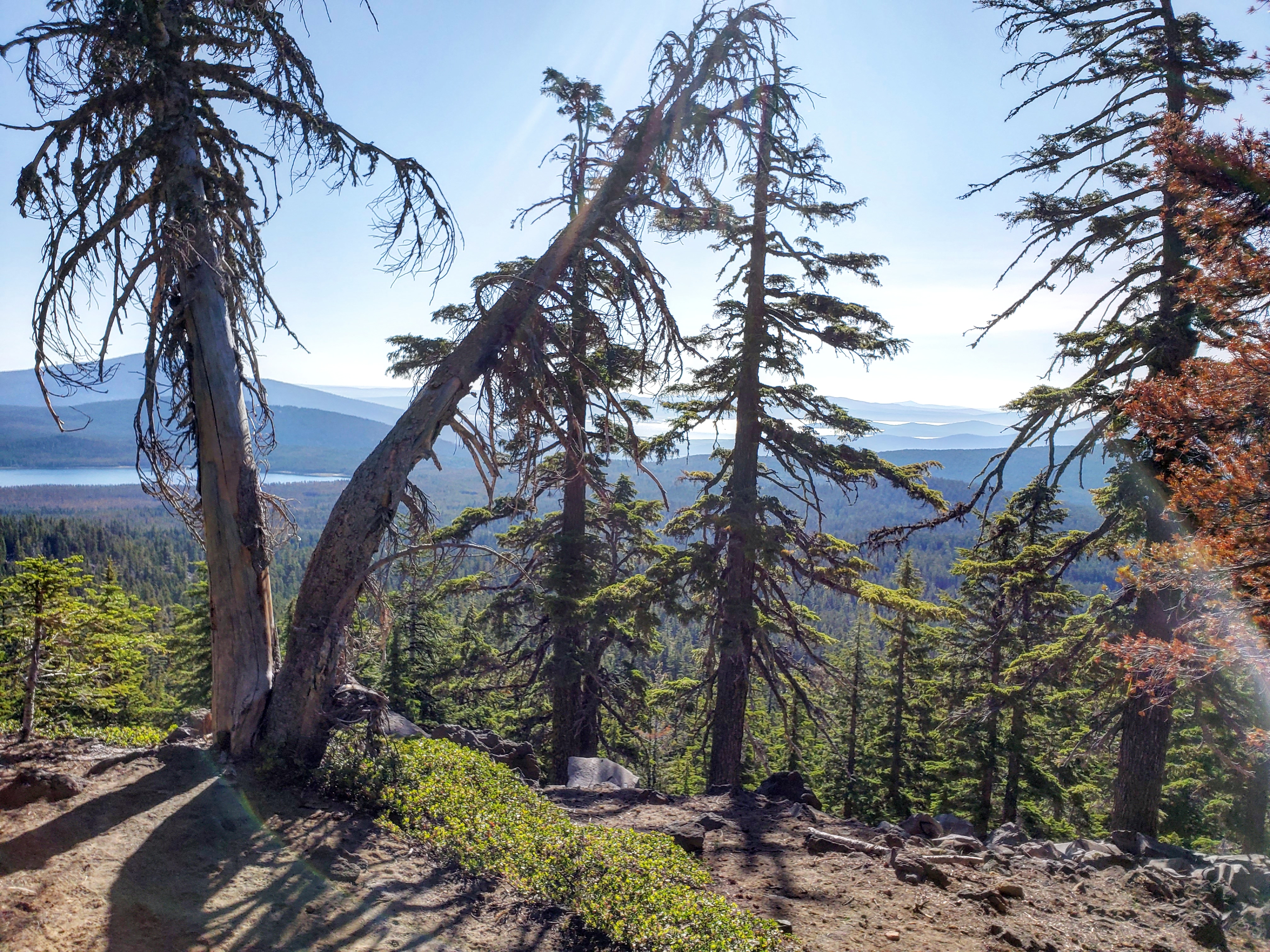 IMG_20190720_104715_581