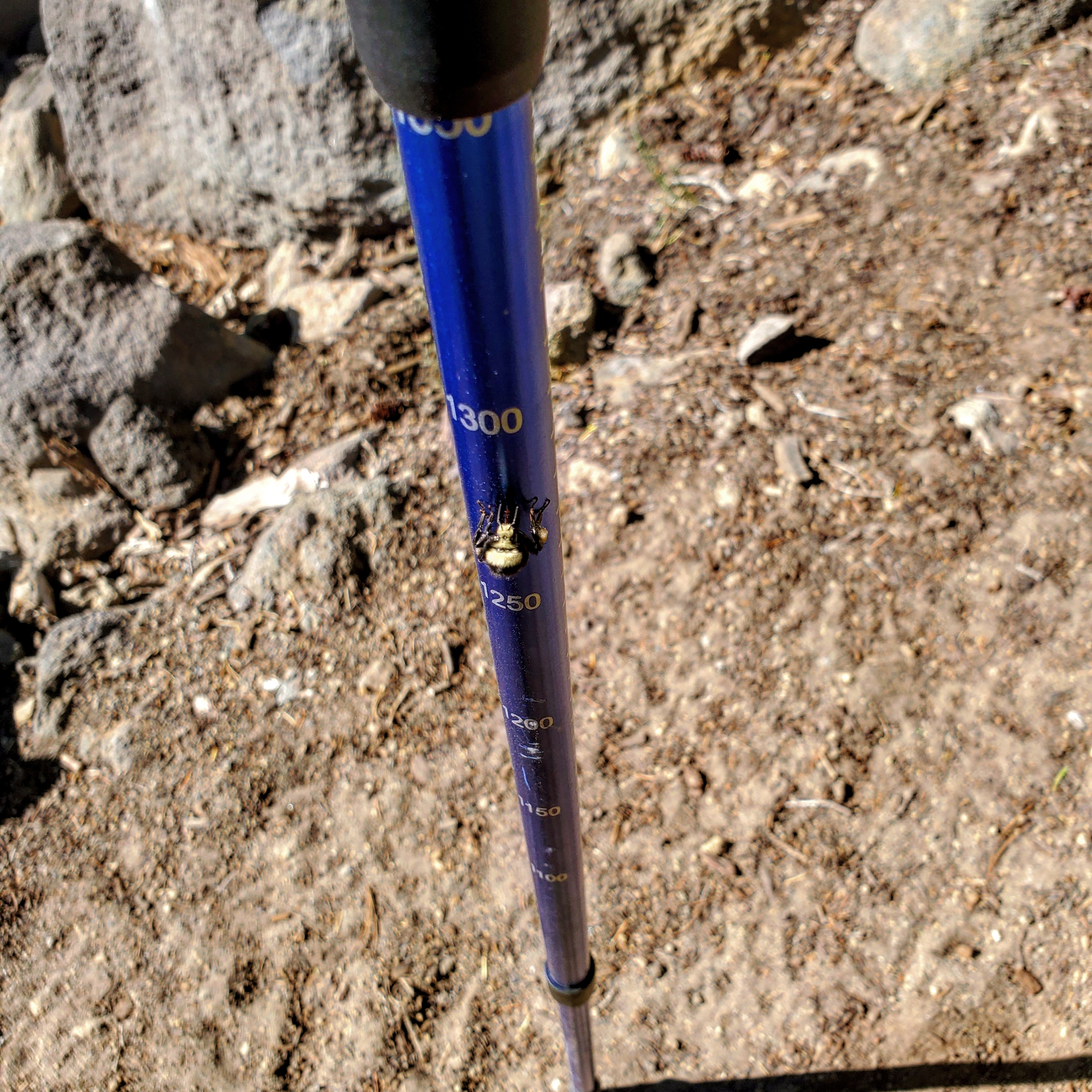 IMG_20190720_170052_907