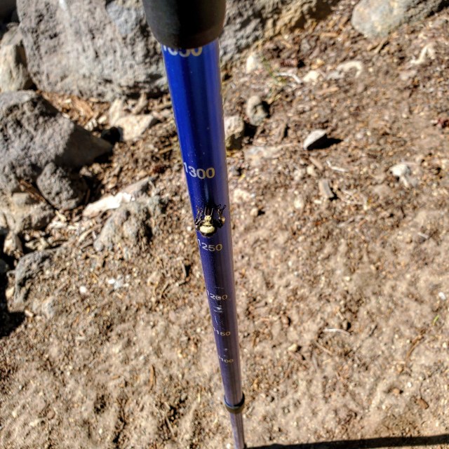 IMG_20190720_170052_907