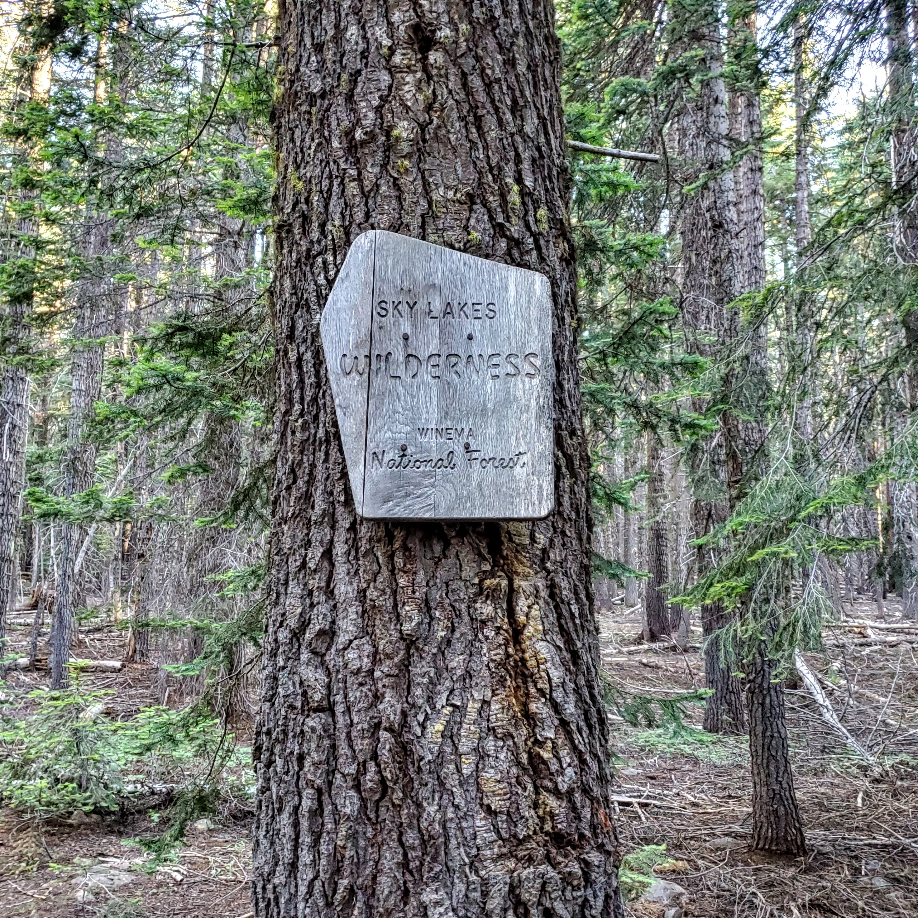 IMG_20190724_171953_473