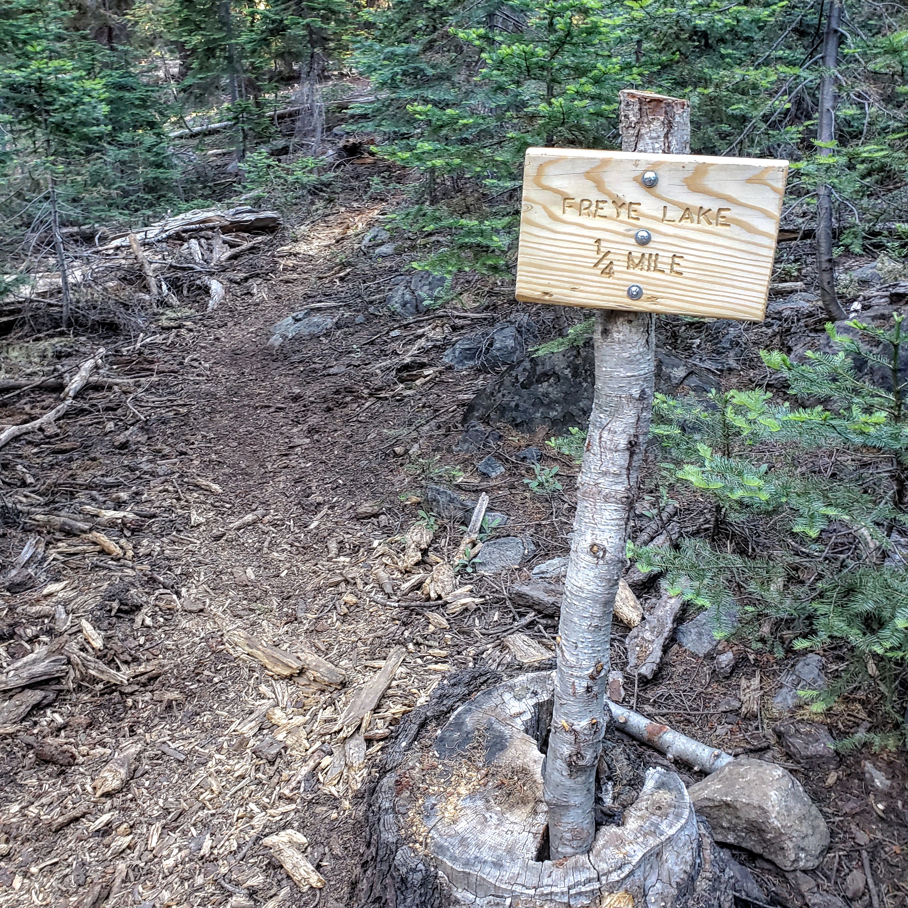 IMG_20190724_172056_797